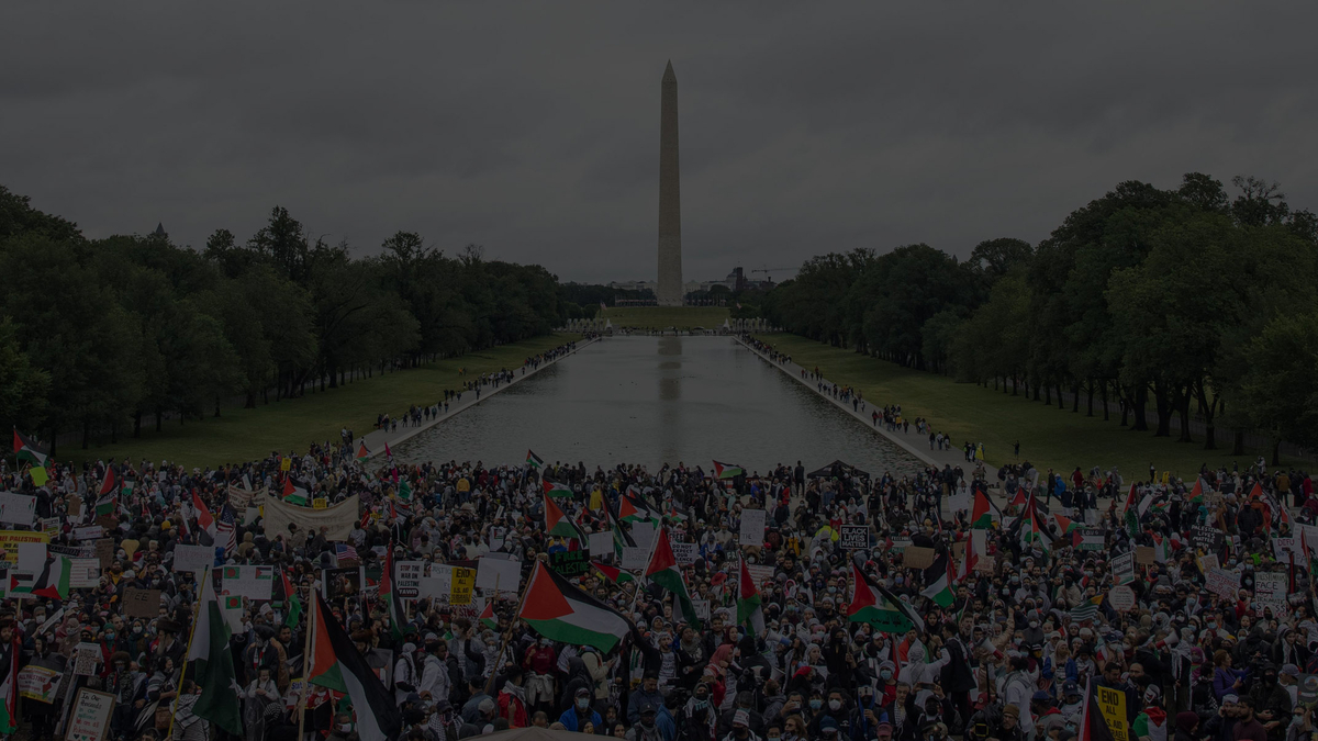 AMP | American Muslims for Palestine